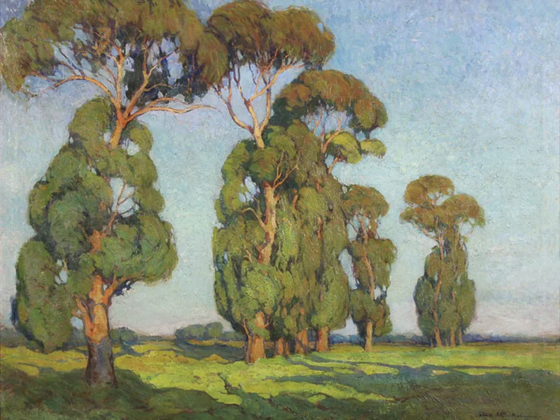 1890-Atilio Malinverno - Gli alberi di eucalipto